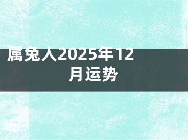 属兔人2025年12月运势