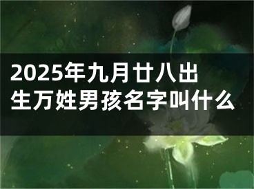2025年九月廿八出生万姓男孩名字叫什么