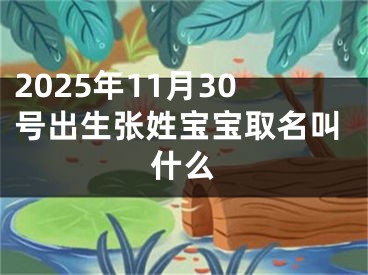 2025年11月30号出生张姓宝宝取名叫什么