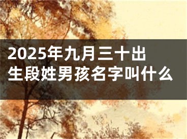 2025年九月三十出生段姓男孩名字叫什么