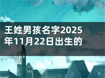 王姓男孩名字2025年11月22日出生的