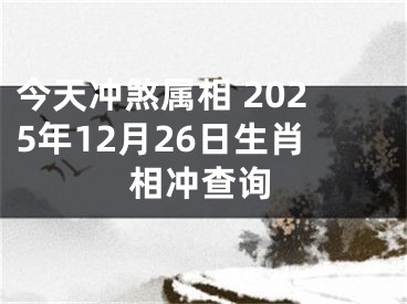 今天冲煞属相 2025年12月26日生肖相冲查询