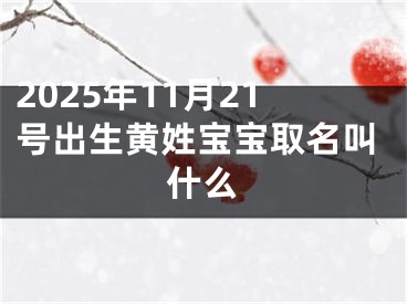 2025年11月21号出生黄姓宝宝取名叫什么