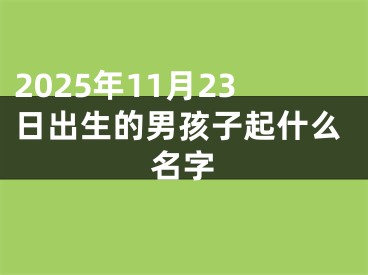 2025年11月23日出生的男孩子起什么名字