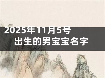 2025年11月5号出生的男宝宝名字