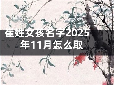 崔姓女孩名字2025年11月怎么取