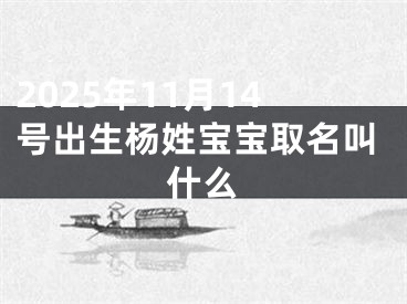 2025年11月14号出生杨姓宝宝取名叫什么