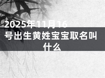 2025年11月16号出生黄姓宝宝取名叫什么