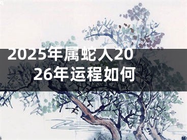 2025年属蛇人2026年运程如何