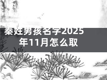 秦姓男孩名字2025年11月怎么取