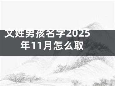文姓男孩名字2025年11月怎么取