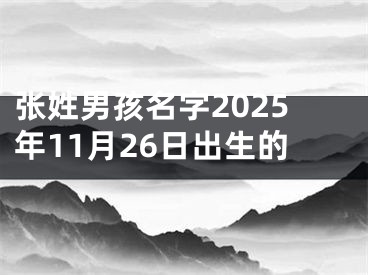 张姓男孩名字2025年11月26日出生的