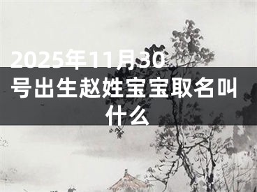 2025年11月30号出生赵姓宝宝取名叫什么