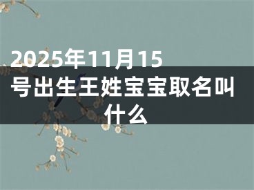 2025年11月15号出生王姓宝宝取名叫什么