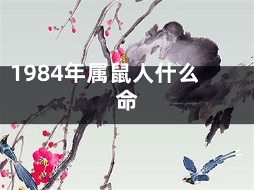 1984年属鼠人什么命