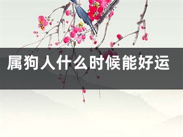 属狗人什么时候能好运