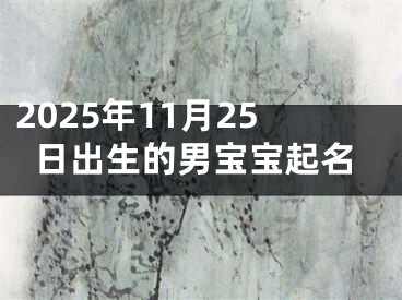 2025年11月25日出生的男宝宝起名
