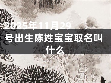 2025年11月29号出生陈姓宝宝取名叫什么