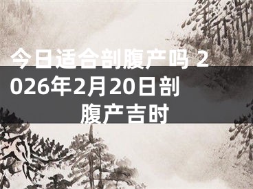 今日适合剖腹产吗 2026年2月20日剖腹产吉时