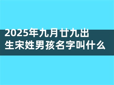 2025年九月廿九出生宋姓男孩名字叫什么