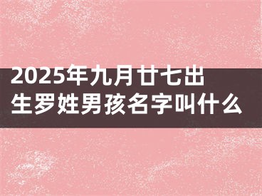 2025年九月廿七出生罗姓男孩名字叫什么