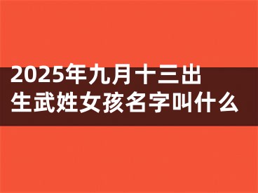 2025年九月十三出生武姓女孩名字叫什么