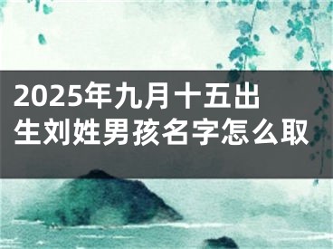 2025年九月十五出生刘姓男孩名字怎么取
