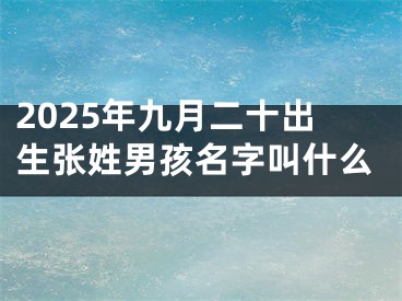 2025年九月二十出生张姓男孩名字叫什么