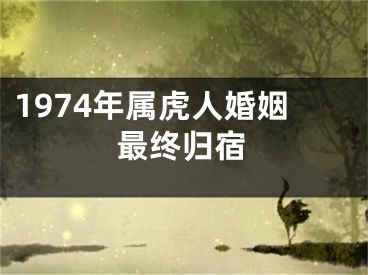 1974年属虎人婚姻最终归宿