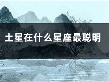 土星在什么星座最聪明
