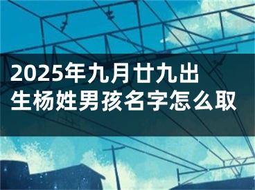2025年九月廿九出生杨姓男孩名字怎么取