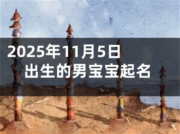 2025年11月5日出生的男宝宝起名