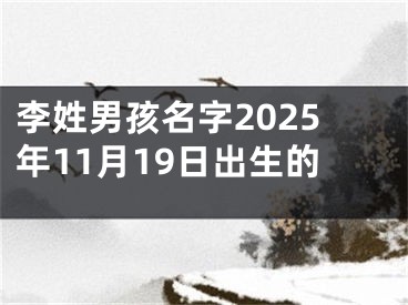 李姓男孩名字2025年11月19日出生的