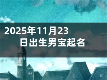 2025年11月23日出生男宝起名