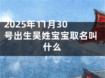 2025年11月30号出生吴姓宝宝取名叫什么
