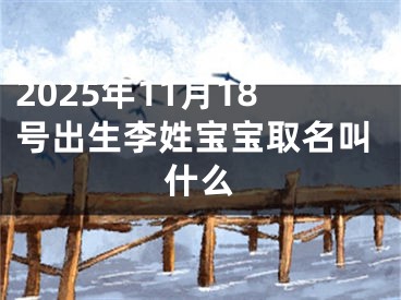2025年11月18号出生李姓宝宝取名叫什么