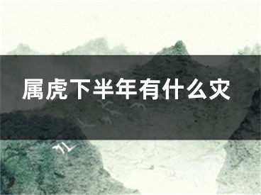 属虎下半年有什么灾