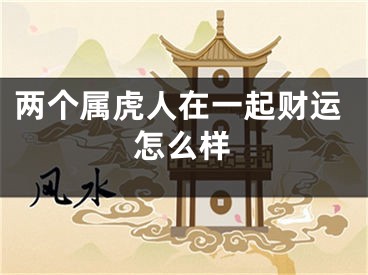 两个属虎人在一起财运怎么样
