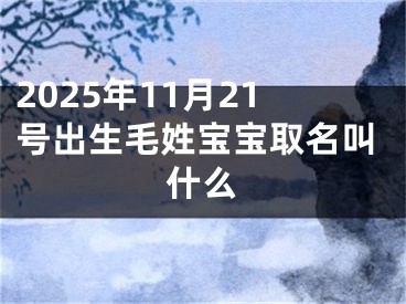2025年11月21号出生毛姓宝宝取名叫什么