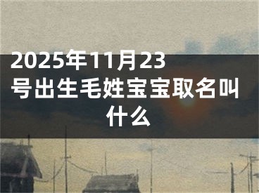 2025年11月23号出生毛姓宝宝取名叫什么