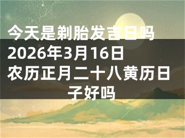 今天是剃胎发吉日吗 2026年3月16日农历正月二十八黄历日子好吗