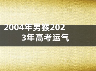 2004年男猴2023年高考运气