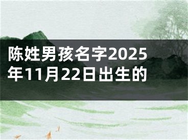 陈姓男孩名字2025年11月22日出生的