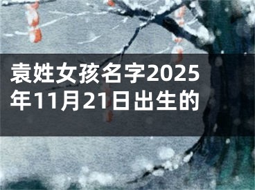 袁姓女孩名字2025年11月21日出生的
