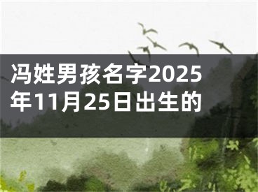 冯姓男孩名字2025年11月25日出生的