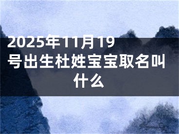 2025年11月19号出生杜姓宝宝取名叫什么