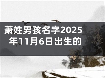 萧姓男孩名字2025年11月6日出生的