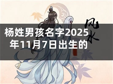 杨姓男孩名字2025年11月7日出生的