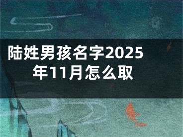 陆姓男孩名字2025年11月怎么取