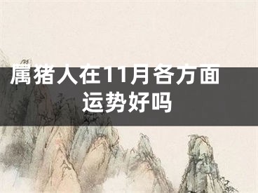 属猪人在11月各方面运势好吗